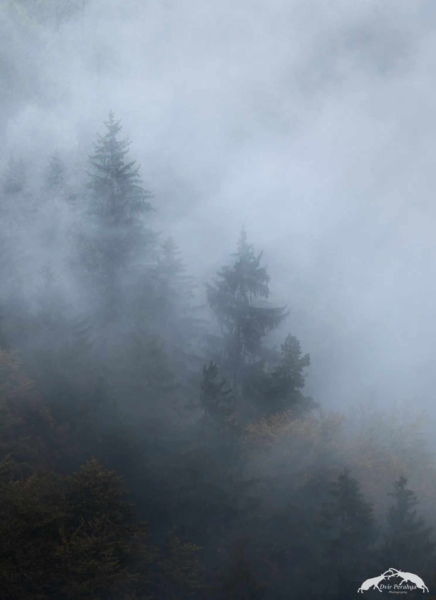 Tel Dor beach at sunset